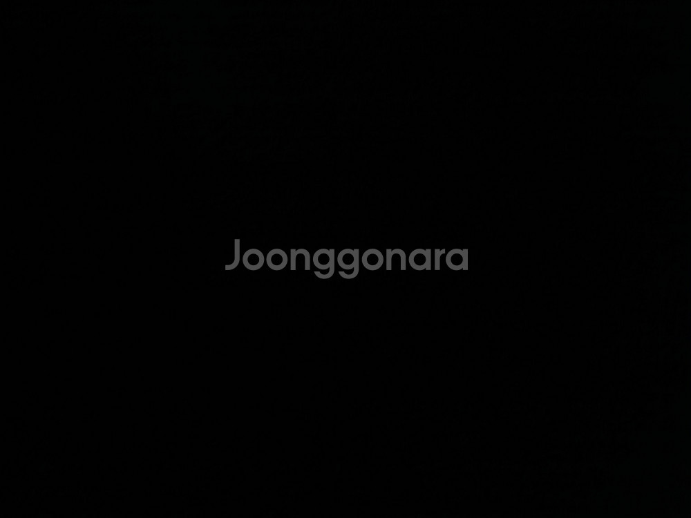 정치 관련 유튜브채널 모두 삽니다--0