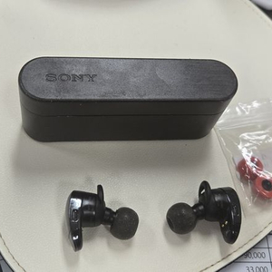소니bc-wf1000x