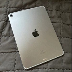 아이패드 에어 4 256 셀룰러 (외관 하자 무)