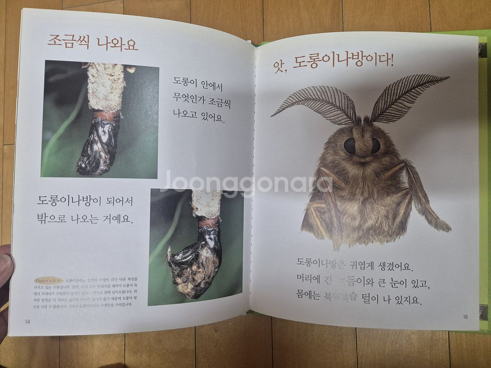 프뢰벨 자연관찰(91권 전집)--4
