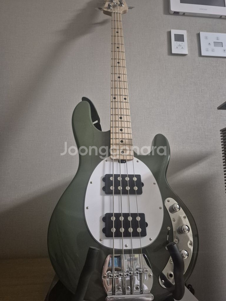 스털링 sting ray ray4 HH 베이스기타--0