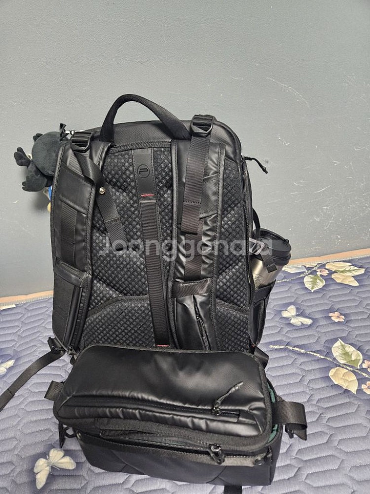 피지테크 원모어 25L--2