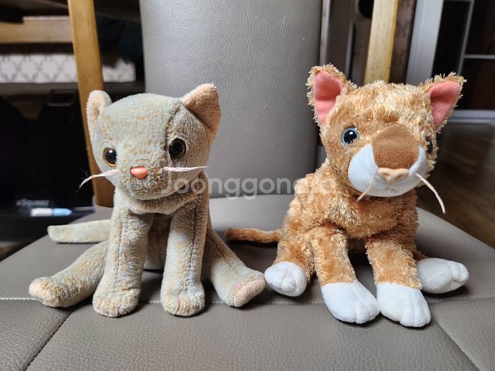 타이비니베이비인형 고양이, 너구리인형 레시네네--1