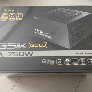 안텍GSK 750W 80PLUS GOLD ATX3.1
