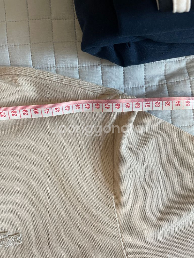 라코스테 파리폴로 카라티 네이비 5사이즈--3