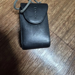 파나소닉 dmc-fx10 디카