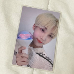 세븐틴 정한 캐럿랜드 캐랜 캐럿존 포카 포토카드