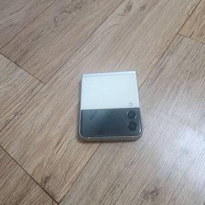 Z플립3 256GB