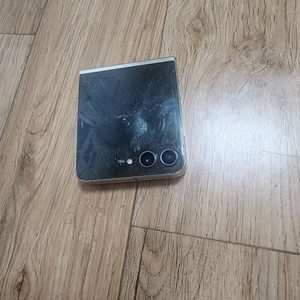 Z플립5 256GB