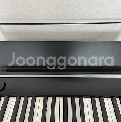 전자피아노 카시오 PX-S1100--2