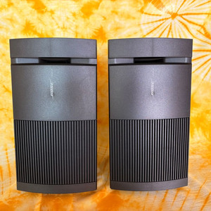 BOSE 스피커 / Model 100 Speakers