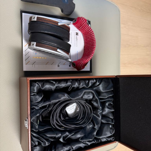 HIFIMAN HE1000se + zmf pad