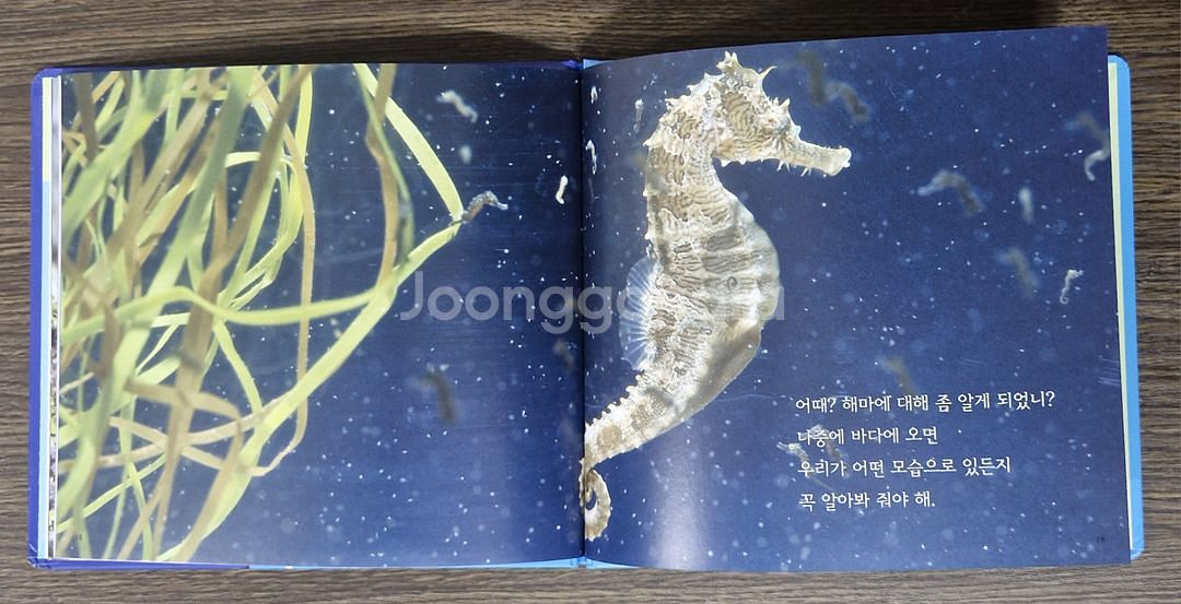 자연이 소곤소곤--2
