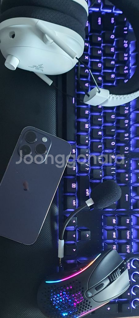 레이저 블랙위도우 V4 PRO--1