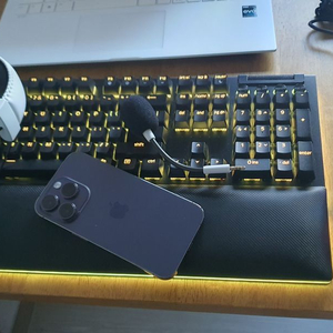 레이저 블랙위도우 V4 PRO