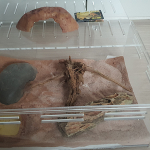 파충류 사육장팝니다(일괄)개별 가능