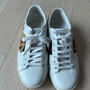 Gucci Sneakers 구찌 러브드 스니커즈