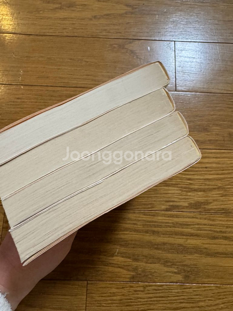 [고전순정만화 일본원서] 사랑의 아랑훼즈 문고판--3