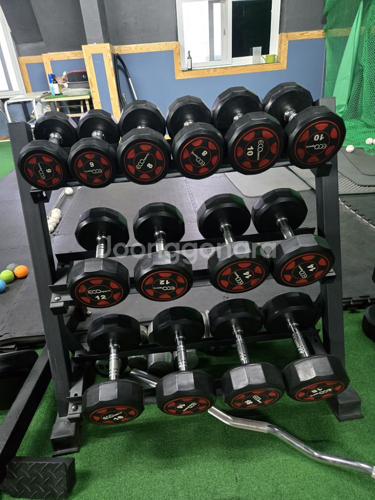 헬스기구 덤벨 팝니다(에코덤벨)--0