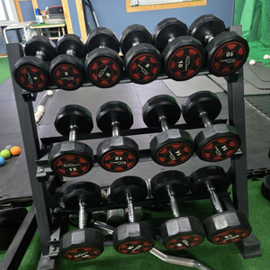 헬스기구 덤벨 팝니다(에코덤벨)