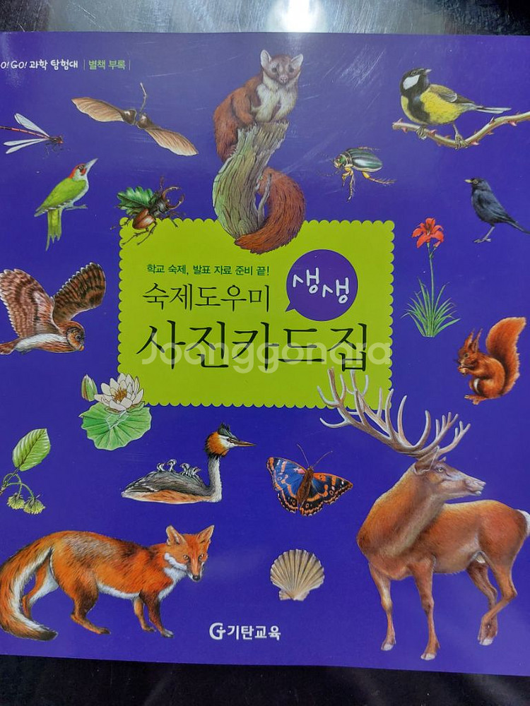 GoGo과학탐험대--9