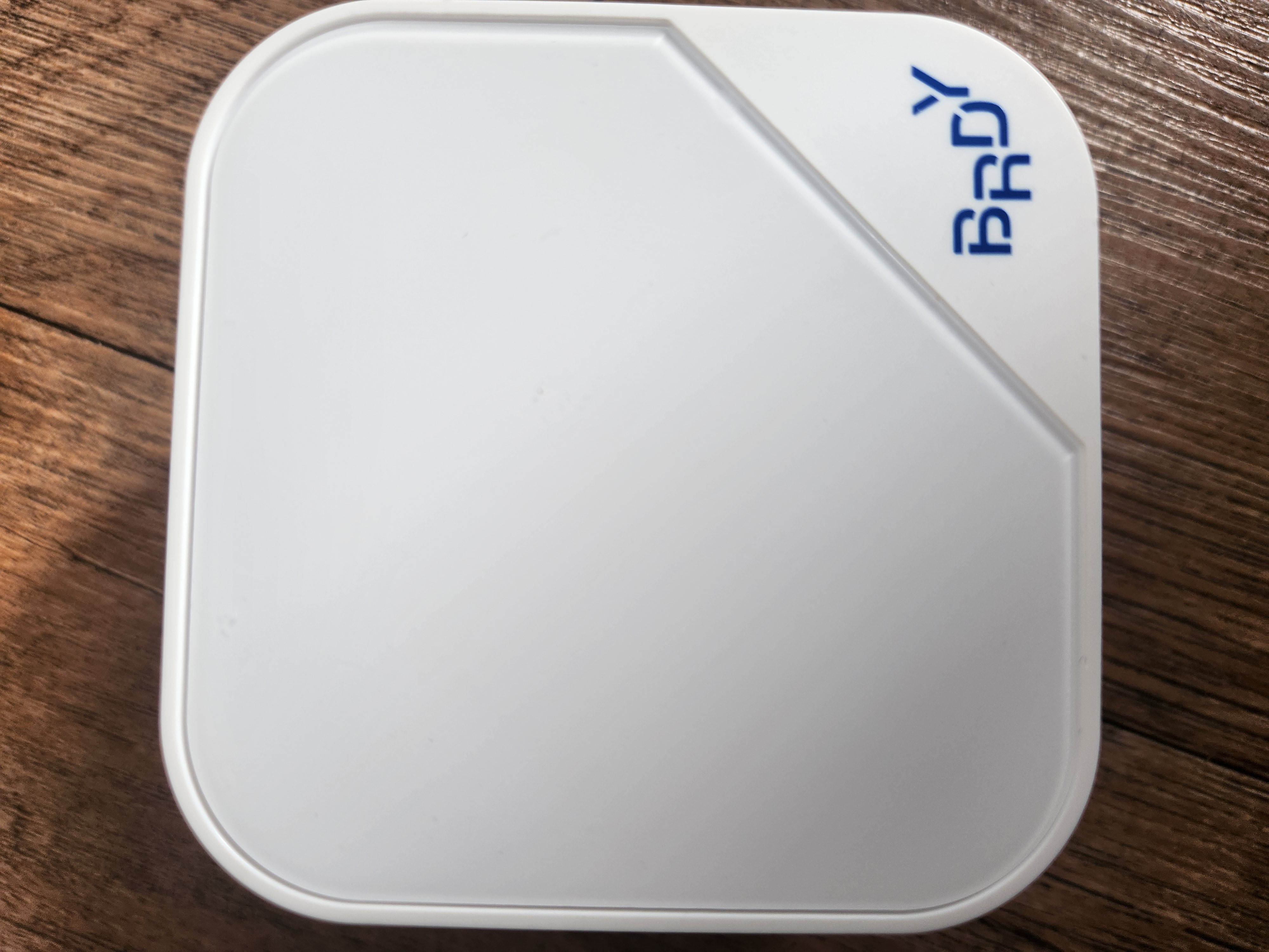 비레디 블루 쿠션, 파운데이션 02호 라이언