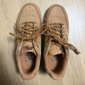 된장포스 250