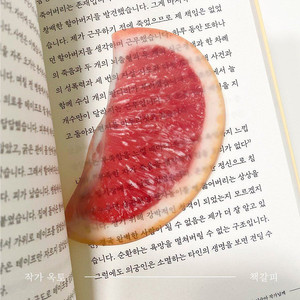 [미개봉] 한정판 파도X이옥토 자몽 책갈피 옥토 작가