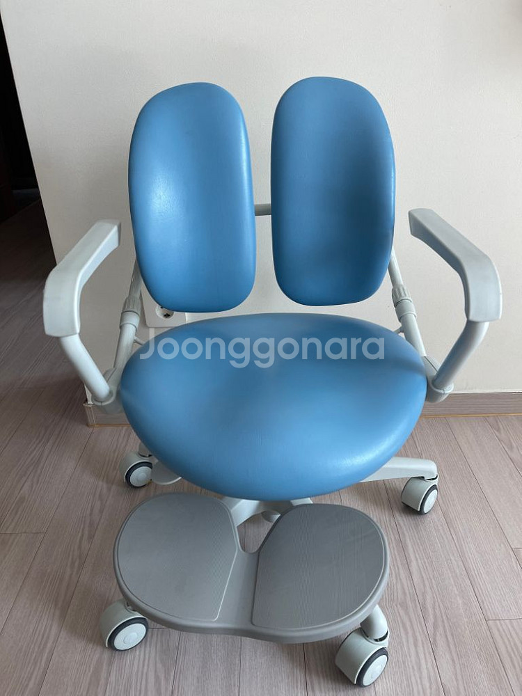 듀오백의자--0