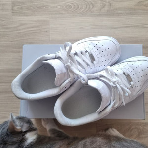 나이키 에어포스1 07 로우 맨즈 265