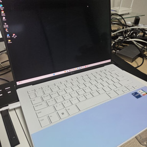 LG 그램 스타일 14 1TB(업글) gx56k s급