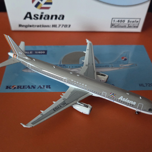 Asiana Airlines A321 HL7703