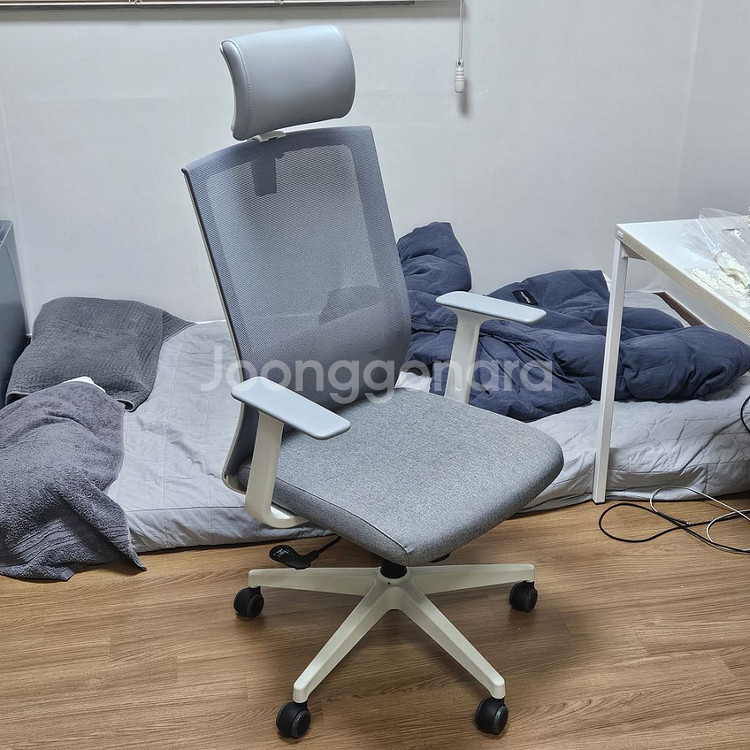 패러데이 컴퓨터 의자--0