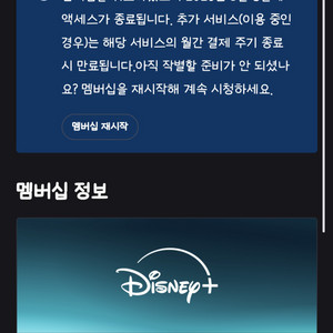 디즈니플러스 프리미엄 11개월 한자리
