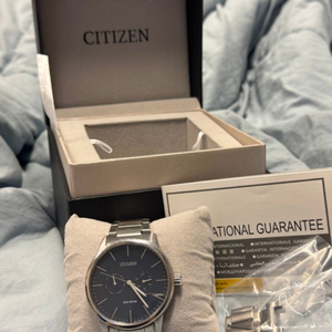 시티즌 Eco-Drive 청 시계