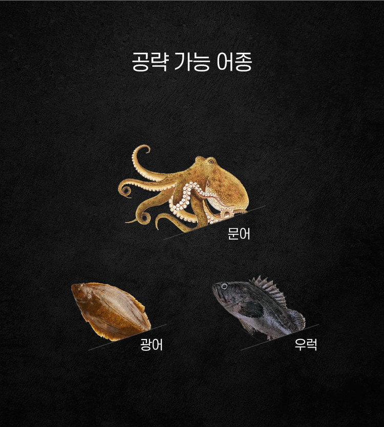 티타늄팁 문어 낚싯대 B175MH 국산 낚시 새상품 이미지