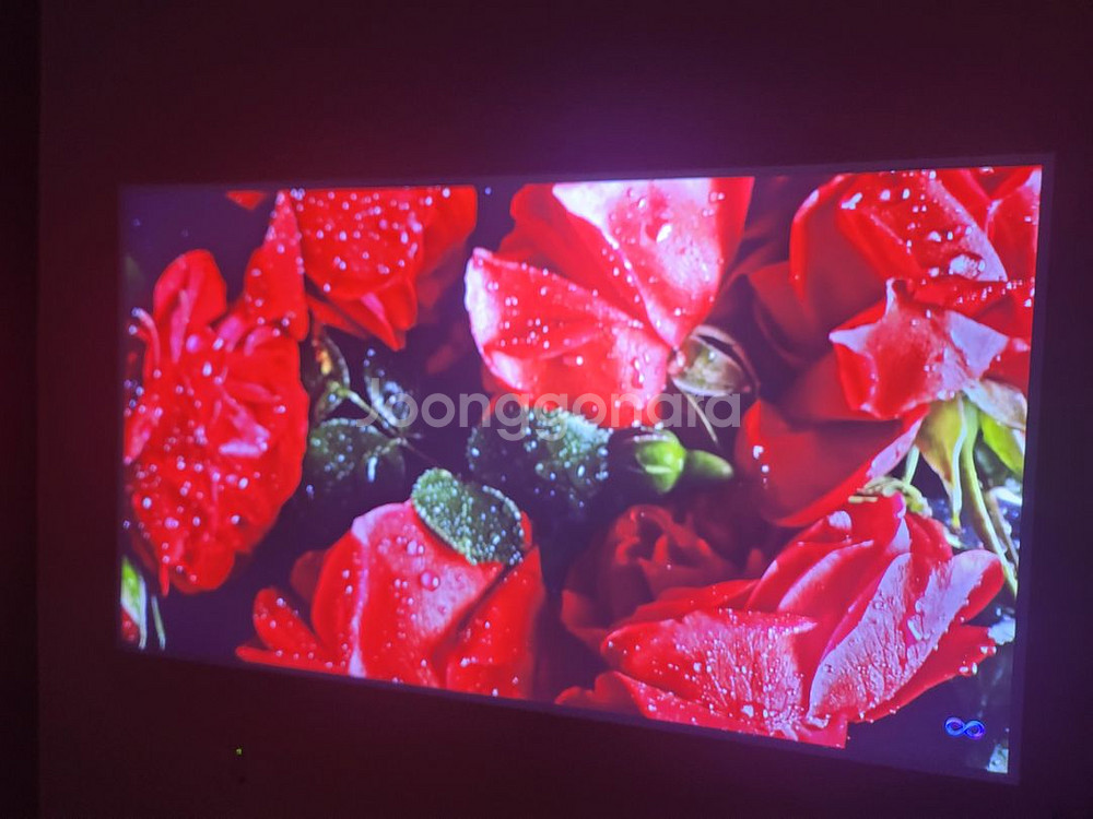 BU50NST 4K UHD 하이엔드 레이져 프로젝터 판--2
