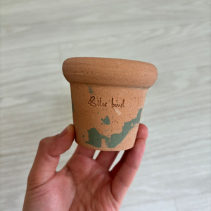 블리스볼 콩분 (새상품)