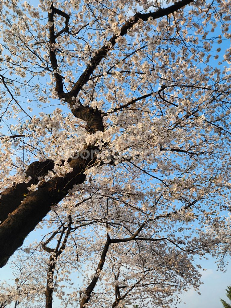 mt03 구매 원합니다! 삽니다!!--0