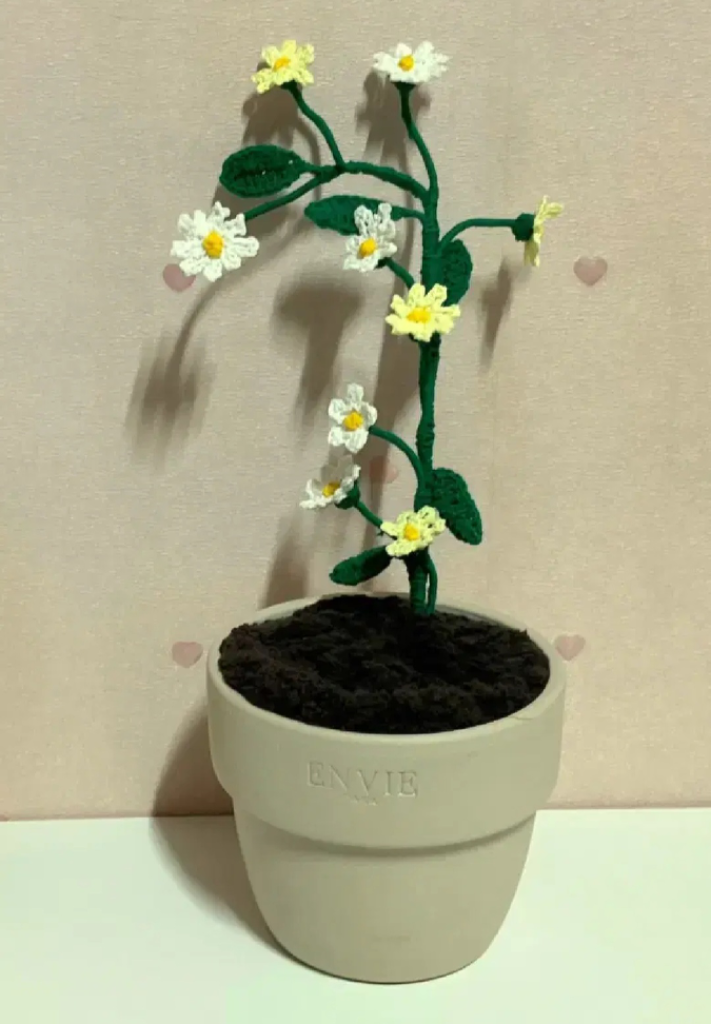 뜨개 화분 데이지