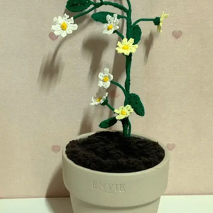 뜨개 화분 데이지