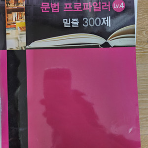김신근 레벨4 문법밑줄300제