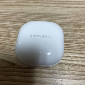버즈2 본체 케이스