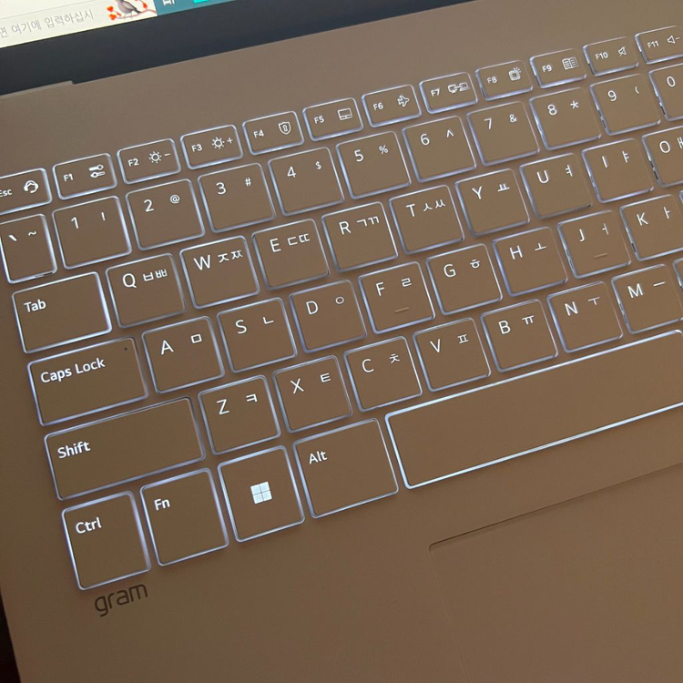 LG 그램 16인치 외장그래픽 16ZD90Q 이미지