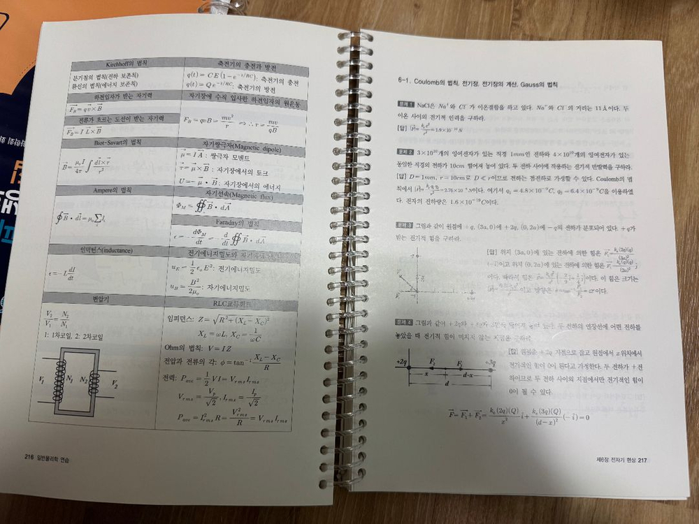 일반물리학연습문제집 이미지