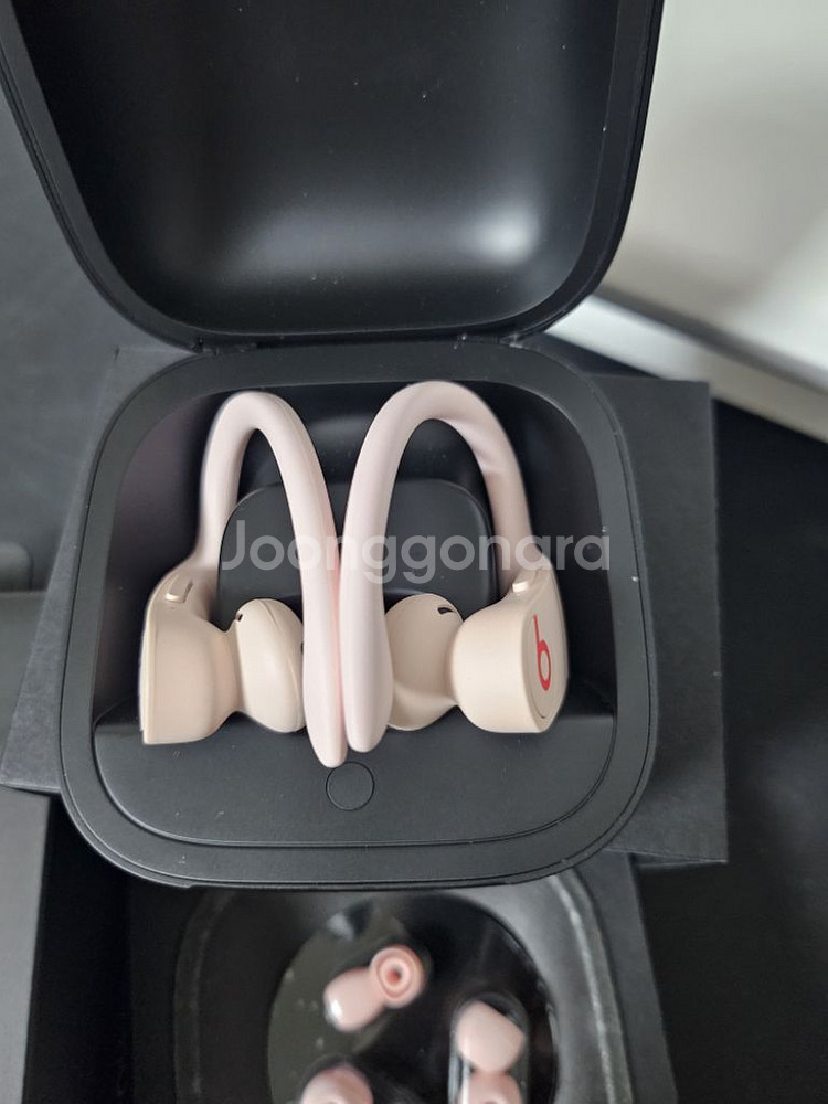 파워비치프로 이어폰--2