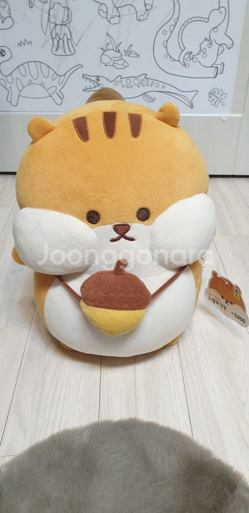 볼빵빵다람쥐인형 새것--0