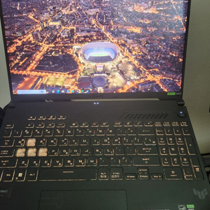 asus 게이밍 노트북, 모니터