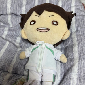 >>급전<< 하이큐 오이카와 빅니토탄 인형 누이