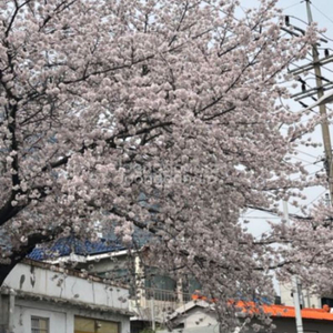 무신사/야놀자/여기어때/오늘의집/티몬/위메프 할인쿠폰